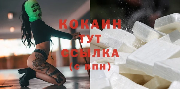 спиды Заводоуковск