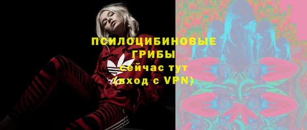 спиды Алзамай