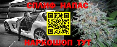 прущие грибы Краснознаменск
